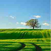 免​费‌语‍音﻿识‍别​转﻿文﻿字​的﻿软‍件‍